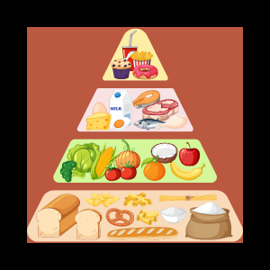 food nutrition groups pyramid illustration